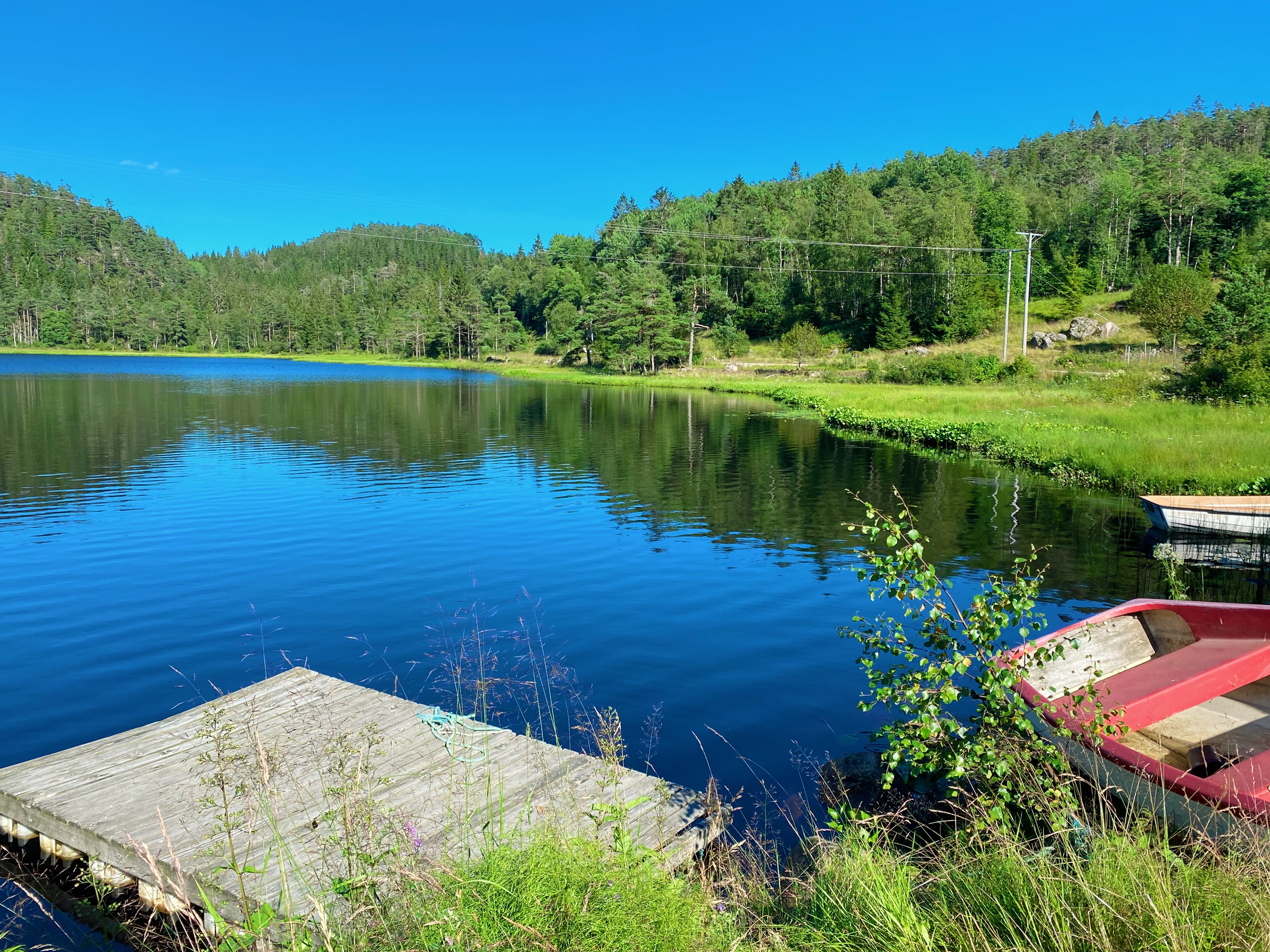 20210715 153906327 Ios