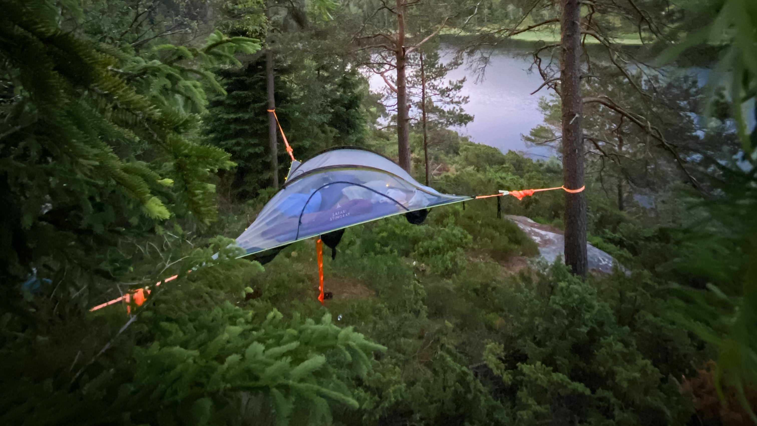 Svevetelt på Sørlandet – Eventyrlig Glamping under Tretoppene