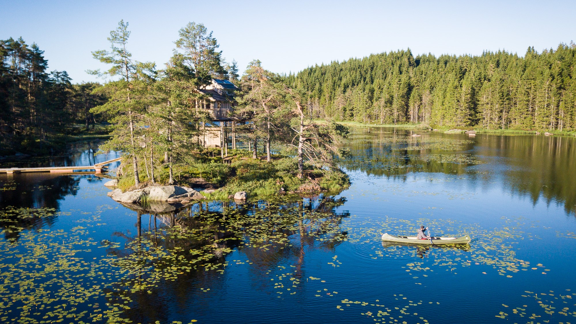Tretopphytte på Treetop Island