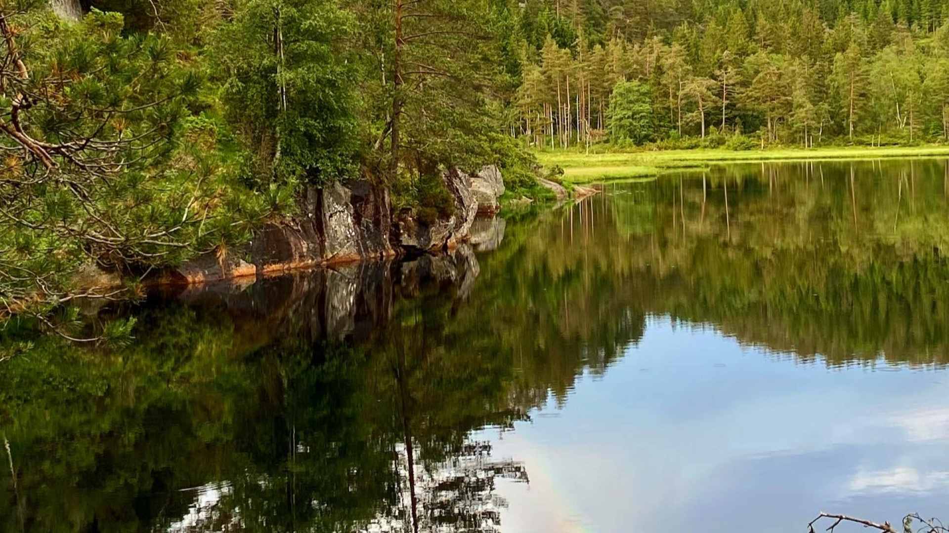 Wildcabins Landskap Med Regnbue