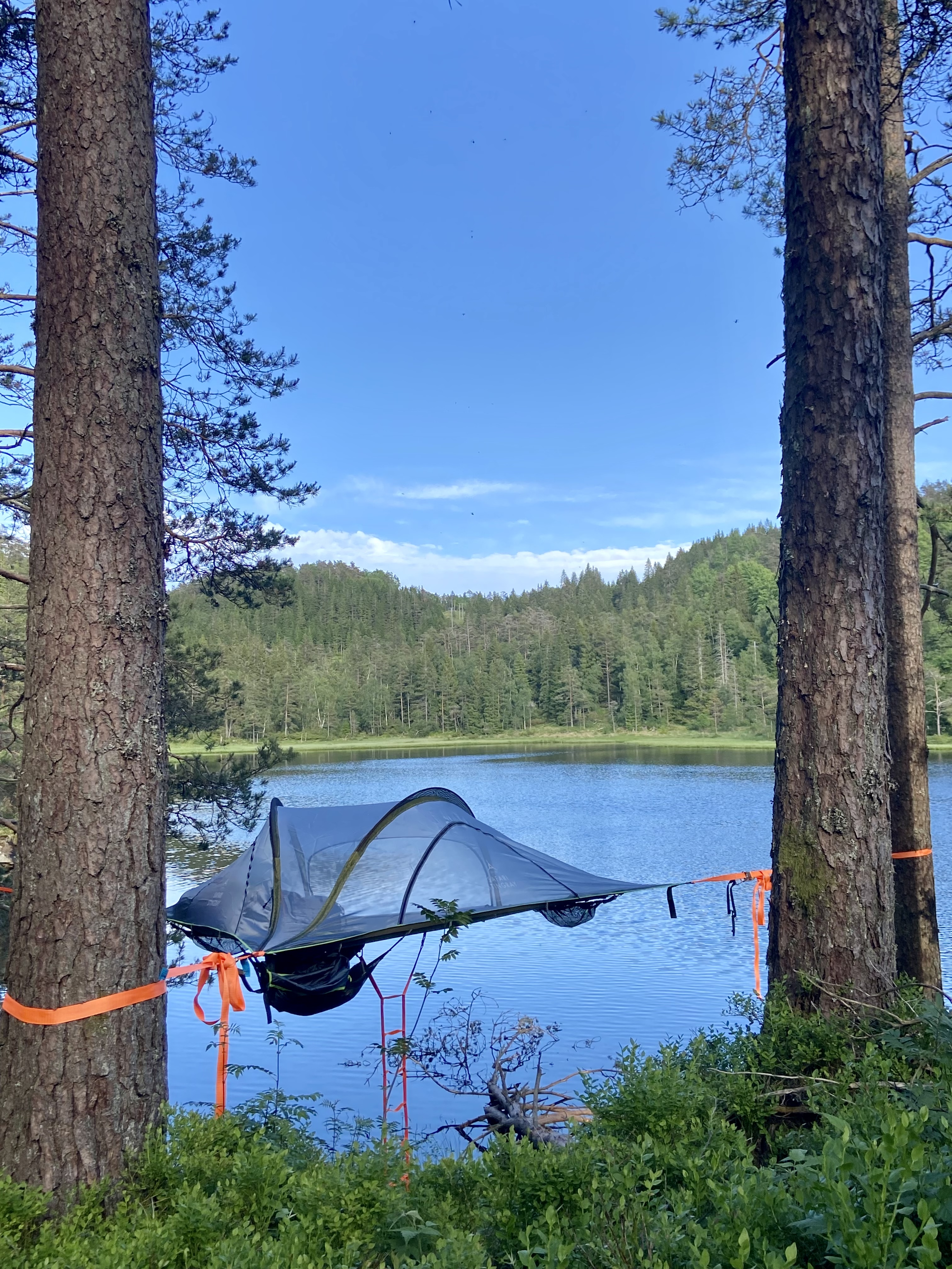 Nydelige plasser for tretelt