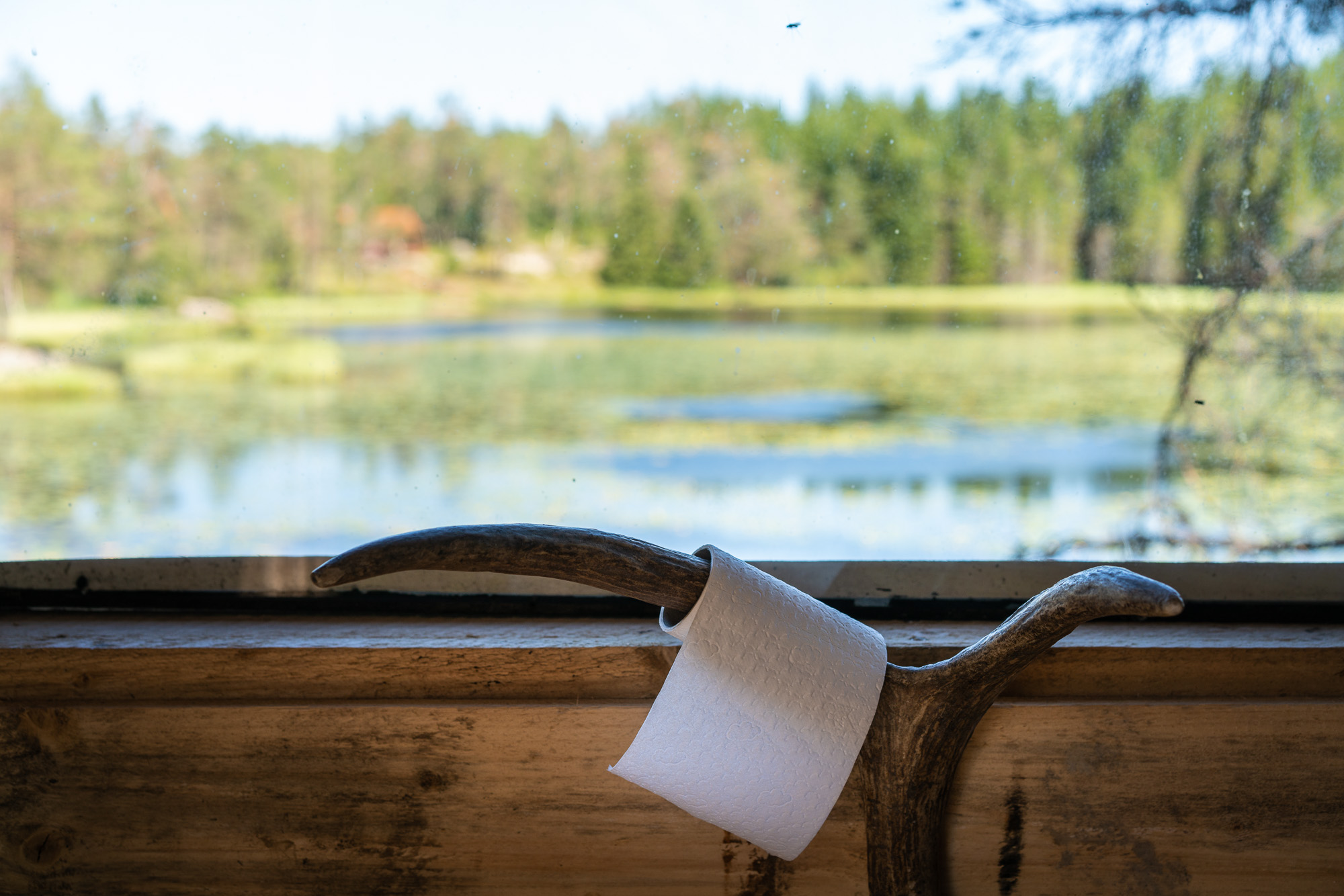 Escape to Serenity: Discover the Ultimate Cabins in the Woods Norway