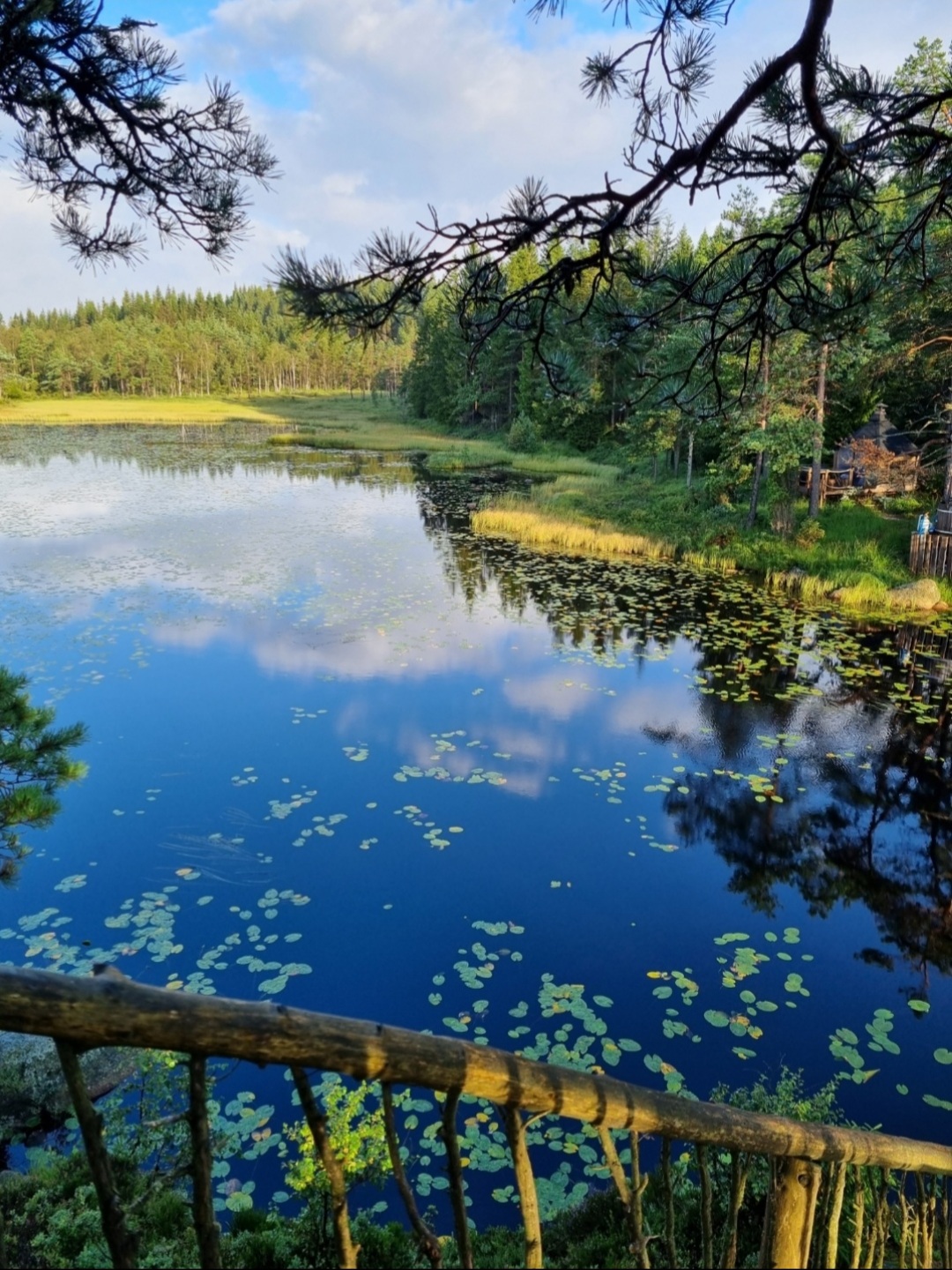 utsikten utover villmarka